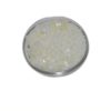 Buy 5-MeO-DMT Freebase